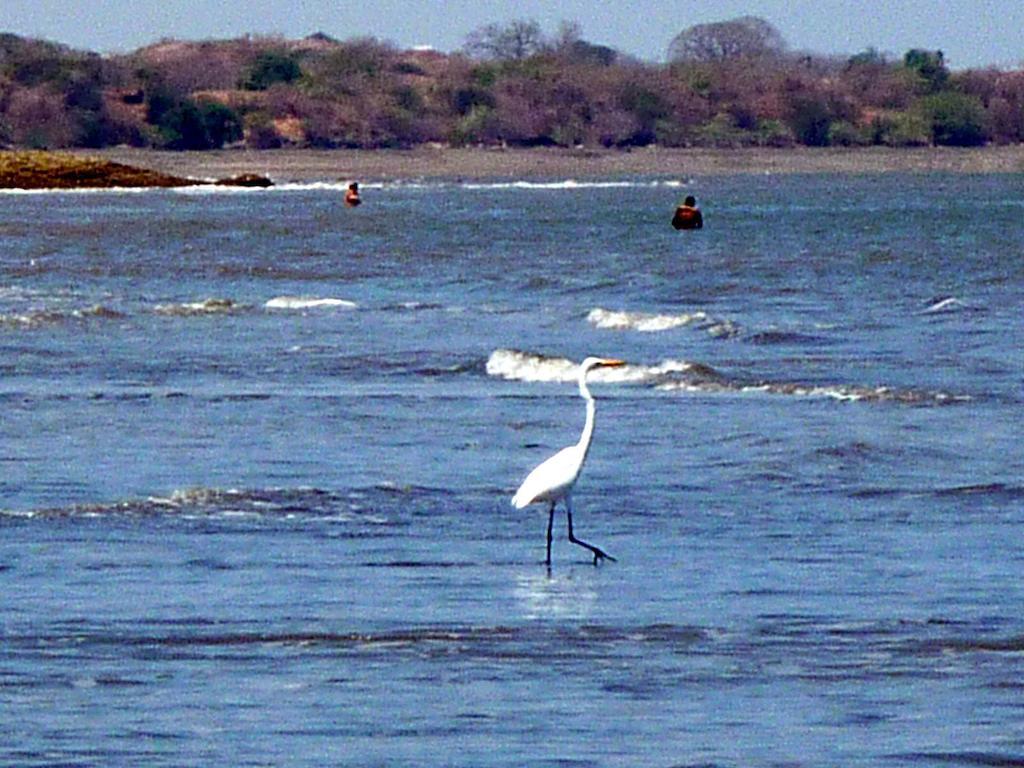 Villa Pelicano Las Tablas Kültér fotó