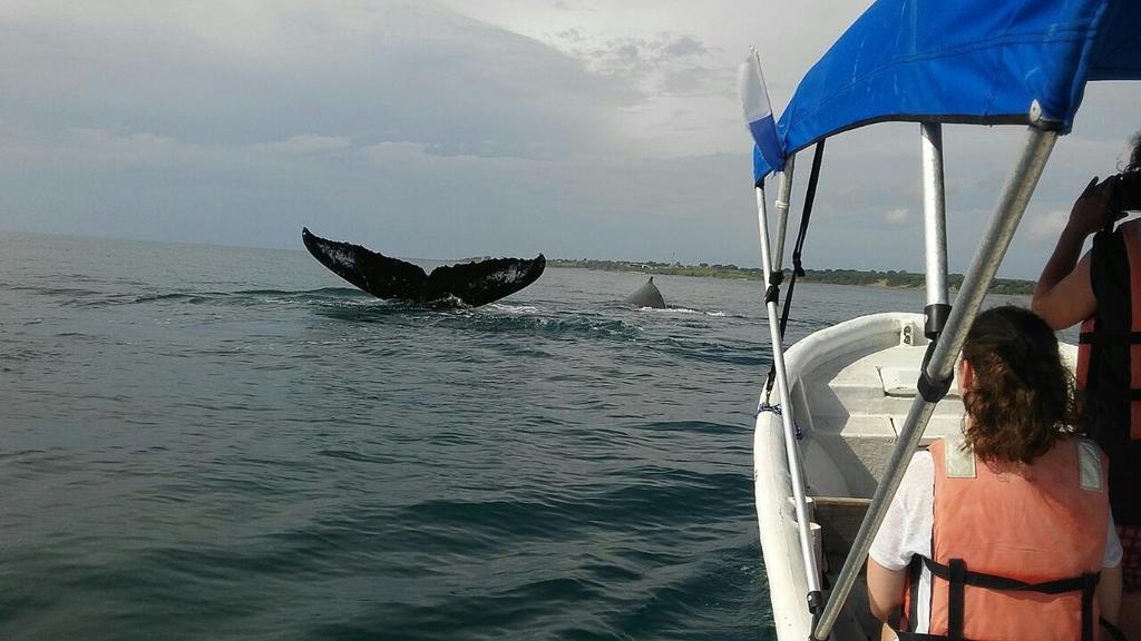 Villa Pelicano Las Tablas Kültér fotó